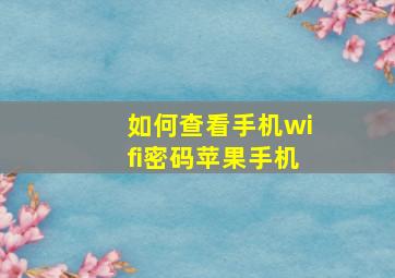 如何查看手机wifi密码苹果手机