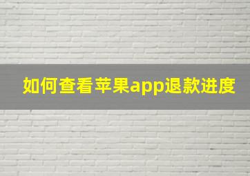 如何查看苹果app退款进度