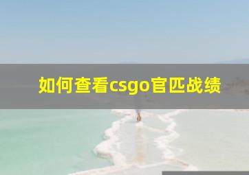 如何查看csgo官匹战绩