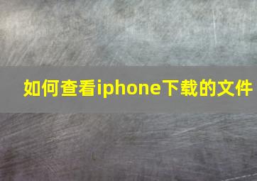 如何查看iphone下载的文件