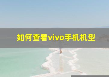 如何查看vivo手机机型