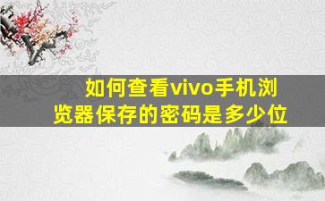 如何查看vivo手机浏览器保存的密码是多少位