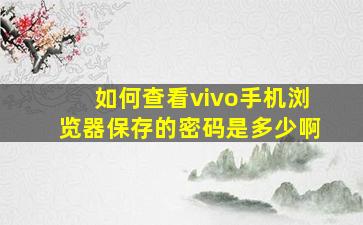 如何查看vivo手机浏览器保存的密码是多少啊