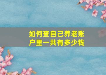 如何查自己养老账户里一共有多少钱