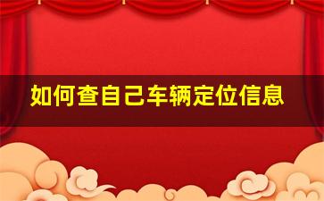 如何查自己车辆定位信息