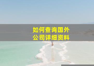 如何查询国外公司详细资料