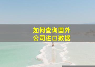 如何查询国外公司进口数据