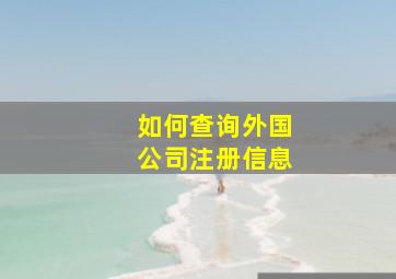 如何查询外国公司注册信息