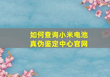 如何查询小米电池真伪鉴定中心官网