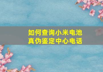 如何查询小米电池真伪鉴定中心电话