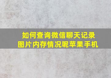 如何查询微信聊天记录图片内存情况呢苹果手机