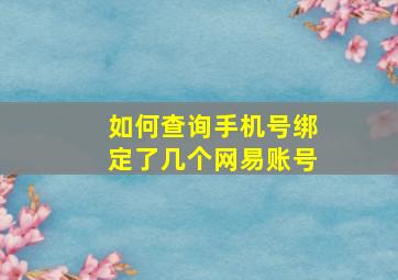 如何查询手机号绑定了几个网易账号