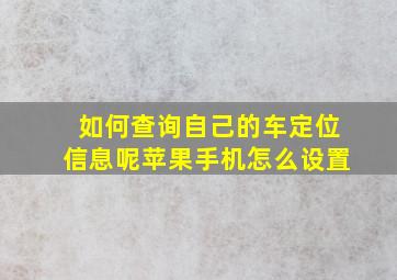 如何查询自己的车定位信息呢苹果手机怎么设置