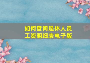 如何查询退休人员工资明细表电子版