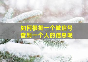 如何根据一个微信号查到一个人的信息呢