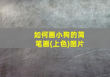 如何画小狗的简笔画(上色)图片