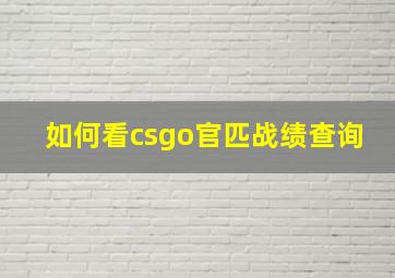 如何看csgo官匹战绩查询