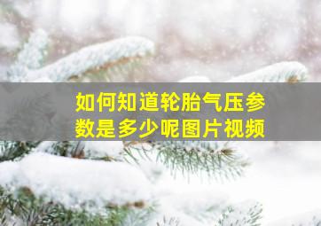 如何知道轮胎气压参数是多少呢图片视频