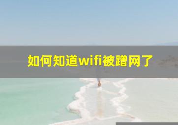 如何知道wifi被蹭网了