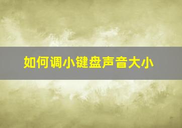 如何调小键盘声音大小