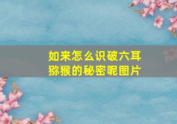 如来怎么识破六耳猕猴的秘密呢图片