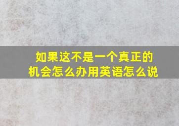 如果这不是一个真正的机会怎么办用英语怎么说