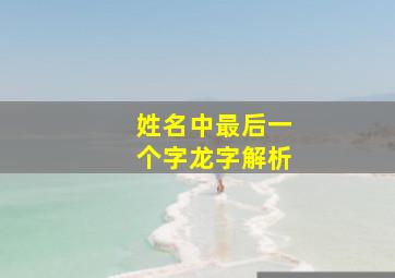 姓名中最后一个字龙字解析