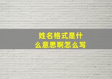 姓名格式是什么意思啊怎么写