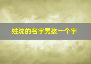 姓沈的名字男孩一个字