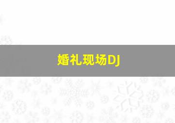 婚礼现场DJ