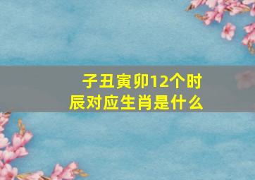 子丑寅卯12个时辰对应生肖是什么