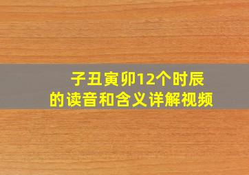 子丑寅卯12个时辰的读音和含义详解视频