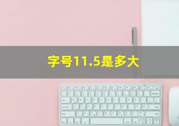 字号11.5是多大