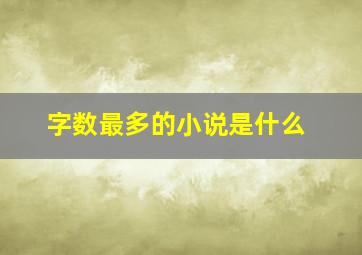 字数最多的小说是什么