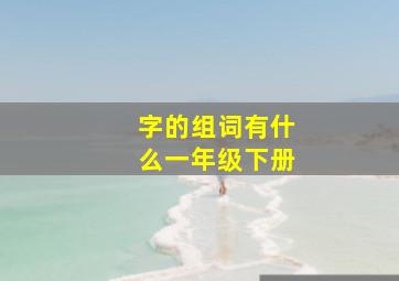 字的组词有什么一年级下册