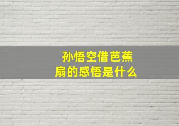 孙悟空借芭蕉扇的感悟是什么