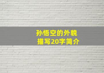 孙悟空的外貌描写20字简介