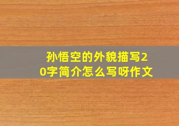 孙悟空的外貌描写20字简介怎么写呀作文