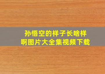 孙悟空的样子长啥样啊图片大全集视频下载