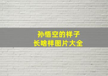 孙悟空的样子长啥样图片大全