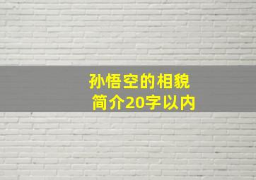 孙悟空的相貌简介20字以内