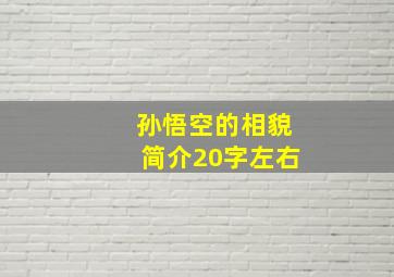 孙悟空的相貌简介20字左右