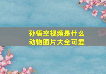 孙悟空视频是什么动物图片大全可爱