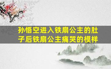 孙悟空进入铁扇公主的肚子后铁扇公主痛哭的模样