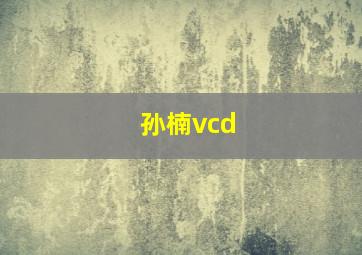 孙楠vcd