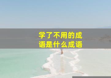 学了不用的成语是什么成语