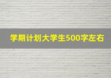 学期计划大学生500字左右