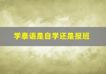 学泰语是自学还是报班