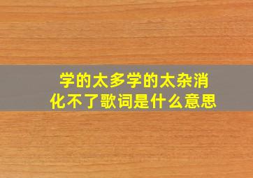 学的太多学的太杂消化不了歌词是什么意思