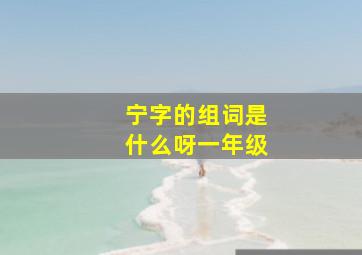 宁字的组词是什么呀一年级